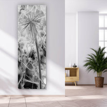 Lade das Bild in den Galerie-Viewer, Acrylglasbild Zarte Pusteblume in schwarz weiß Panorama Hoch
