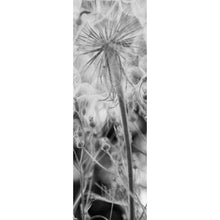 Lade das Bild in den Galerie-Viewer, Acrylglasbild Zarte Pusteblume in schwarz weiß Panorama Hoch
