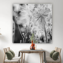 Lade das Bild in den Galerie-Viewer, Acrylglasbild Zarte Pusteblume in schwarz weiß Quadrat
