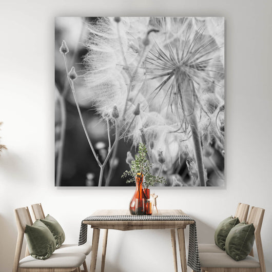 Acrylglasbild Zarte Pusteblume in schwarz weiß Quadrat