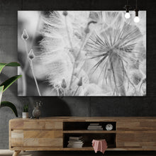 Lade das Bild in den Galerie-Viewer, Poster Zarte Pusteblume in schwarz weiß Querformat
