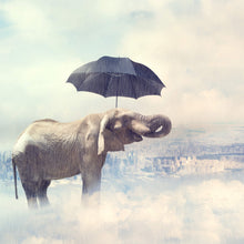 Lade das Bild in den Galerie-Viewer, Aluminiumbild Elefant mit Regenschirm Quadrat
