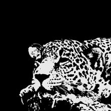 Lade das Bild in den Galerie-Viewer, Acrylglasbild Leopard in Schwarz Weiß Quadrat
