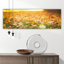 Lade das Bild in den Galerie-Viewer, Aluminiumbild gebürstet Herbstblätter im sonnigen Morgenlicht Panorama
