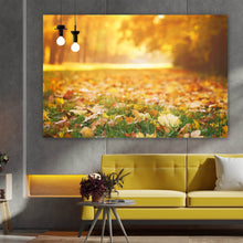 Lade das Bild in den Galerie-Viewer, Acrylglasbild Herbstblätter im sonnigen Morgenlicht Querformat
