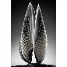 Lade das Bild in den Galerie-Viewer, Aluminiumbild Abstrakte Skulptur geöffnete Muschel Hochformat
