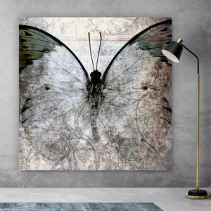 Aluminiumbild gebürstet Grauer Vintage Schmetterling Quadrat