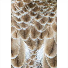 Lade das Bild in den Galerie-Viewer, Aluminiumbild gebürstet Adler Federn Hochformat
