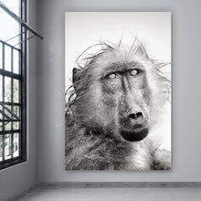 Lade das Bild in den Galerie-Viewer, Poster Affe im Regen Hochformat
