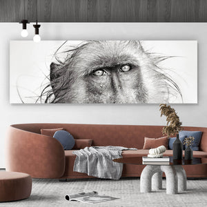 Aluminiumbild gebürstet Affe im Regen Panorama