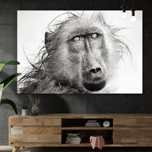 Lade das Bild in den Galerie-Viewer, Leinwandbild Affe im Regen Querformat
