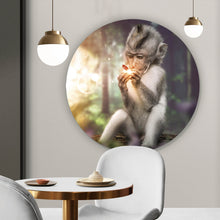 Lade das Bild in den Galerie-Viewer, Aluminiumbild Affe mit Schmetterling Kreis
