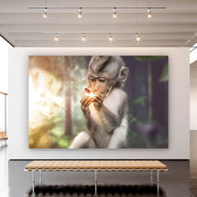 Lade das Bild in den Galerie-Viewer, Poster Affe mit Schmetterling Querformat
