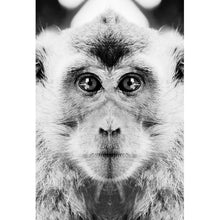Lade das Bild in den Galerie-Viewer, Aluminiumbild gebürstet Affe Schwarz Weiß Hochformat
