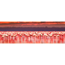 Lade das Bild in den Galerie-Viewer, Spannrahmenbild Afrikanische Flamingos im See Panorama
