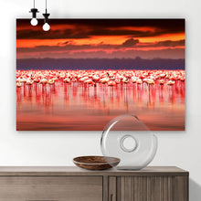 Lade das Bild in den Galerie-Viewer, Leinwandbild Afrikanische Flamingos im See Querformat
