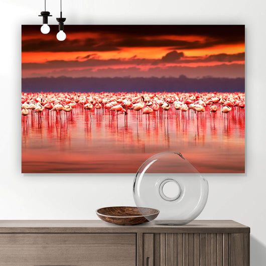 Poster Afrikanische Flamingos im See Querformat