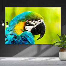 Lade das Bild in den Galerie-Viewer, Poster Afrikanischer Papagei Querformat
