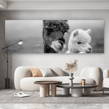 Lade das Bild in den Galerie-Viewer, Aluminiumbild Alpaka Paar Schwarz Weiß Panorama
