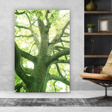 Lade das Bild in den Galerie-Viewer, Spannrahmenbild Alter Baum im Wald Hochformat
