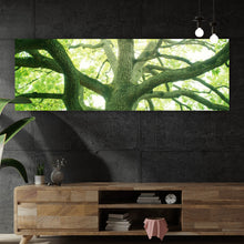 Lade das Bild in den Galerie-Viewer, Aluminiumbild gebürstet Alter Baum im Wald Panorama
