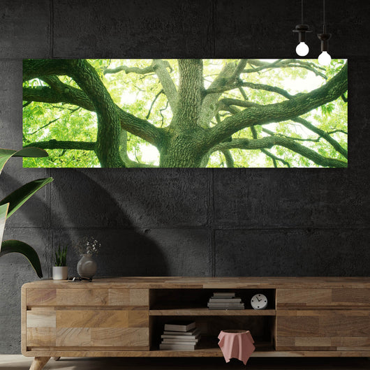 Poster Alter Baum im Wald Panorama