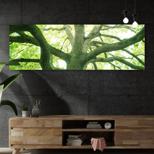 Acrylglasbild Alter Baum im Wald Panorama