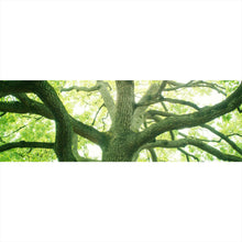Lade das Bild in den Galerie-Viewer, Aluminiumbild gebürstet Alter Baum im Wald Panorama
