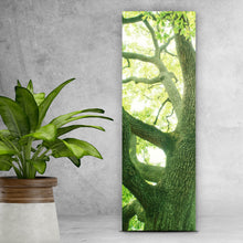 Lade das Bild in den Galerie-Viewer, Leinwandbild Alter Baum im Wald Panorama Hoch
