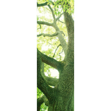 Lade das Bild in den Galerie-Viewer, Acrylglasbild Alter Baum im Wald Panorama Hoch
