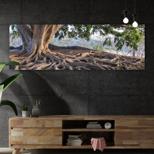 Aluminiumbild gebürstet Alter Baum mit Wurzeln Panorama