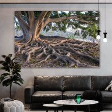 Lade das Bild in den Galerie-Viewer, Spannrahmenbild Alter Baum mit Wurzeln Querformat
