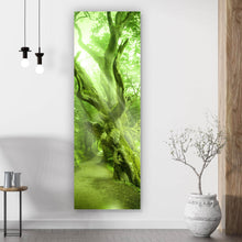Lade das Bild in den Galerie-Viewer, Acrylglasbild Alter Baum Panorama Hoch
