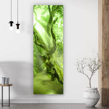 Lade das Bild in den Galerie-Viewer, Aluminiumbild Alter Baum Panorama Hoch
