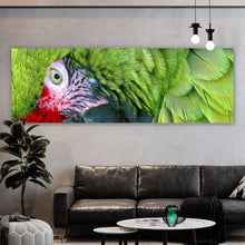 Lade das Bild in den Galerie-Viewer, Aluminiumbild gebürstet Amazonas Papagei Panorama
