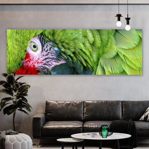 Aluminiumbild Amazonas Papagei Panorama