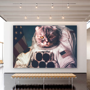 Aluminiumbild gebürstet Amerikanische Astronauten Katze Querformat