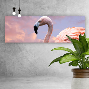 Aluminiumbild gebürstet Amerikanischer Flamingo Panorama