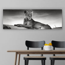 Lade das Bild in den Galerie-Viewer, Leinwandbild Anmutige Löwin Schwarz Weiß Panorama
