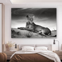 Lade das Bild in den Galerie-Viewer, Spannrahmenbild Anmutige Löwin Schwarz Weiß Querformat
