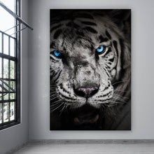 Lade das Bild in den Galerie-Viewer, Aluminiumbild gebürstet Anmutiger Tiger Hochformat
