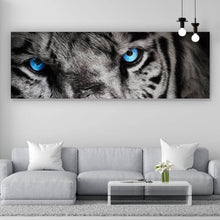 Lade das Bild in den Galerie-Viewer, Aluminiumbild gebürstet Anmutiger Tiger Panorama
