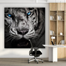 Lade das Bild in den Galerie-Viewer, Aluminiumbild gebürstet Anmutiger Tiger Quadrat
