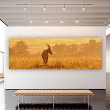 Lade das Bild in den Galerie-Viewer, Leinwandbild Antilope in der Morgensonne Panorama
