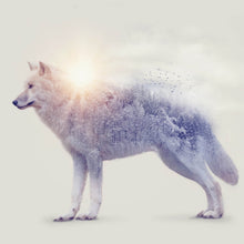Lade das Bild in den Galerie-Viewer, Aluminiumbild gebürstet Arktischer Wolf Digital Art Quadrat

