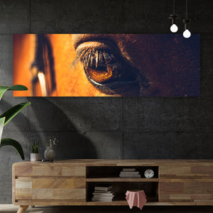 Spannrahmenbild Auge eines Pferdes Panorama