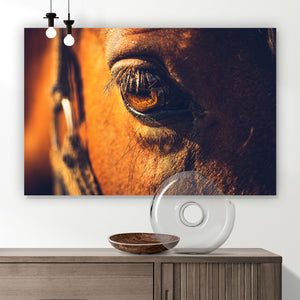 Aluminiumbild Auge eines Pferdes Querformat