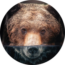 Lade das Bild in den Galerie-Viewer, Aluminiumbild gebürstet Bär unter Wasser Kreis
