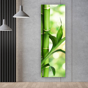 Leinwandbild Bambus Stiele Panorama Hoch