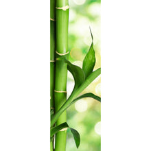 Lade das Bild in den Galerie-Viewer, Leinwandbild Bambus Stiele Panorama Hoch
